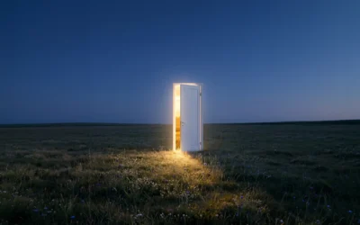 Explorez de nouvelles perspectives pour votre patrimoine